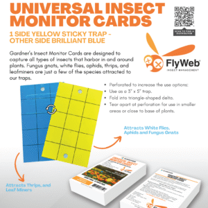 Universal Insect Monitor Cards & Glueboards