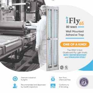 iFly 65 - 80 Watts